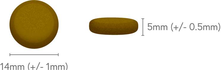 Angus-Rind mit Süßkartoffel & Karotte