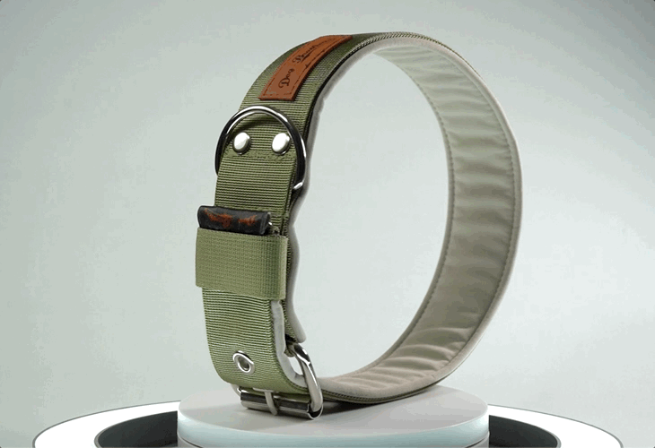 Individuell konfigurierbare Halsbänder und Leinen